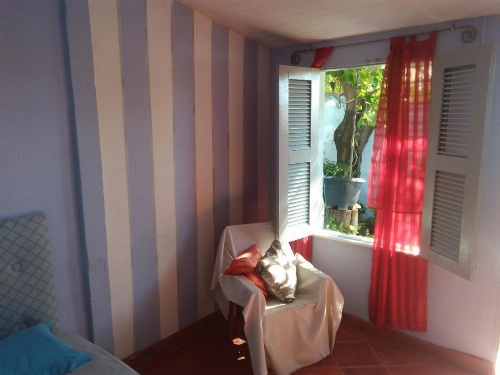 Blue Day image 13