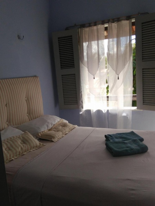 Blue Day image 18