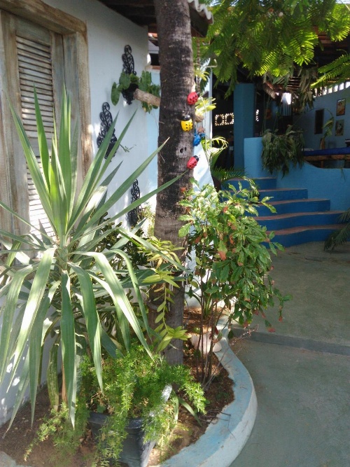 Blue Day image 4
