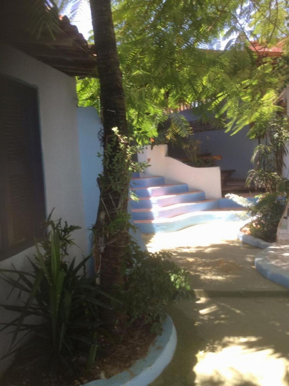 Blue Day Image 7